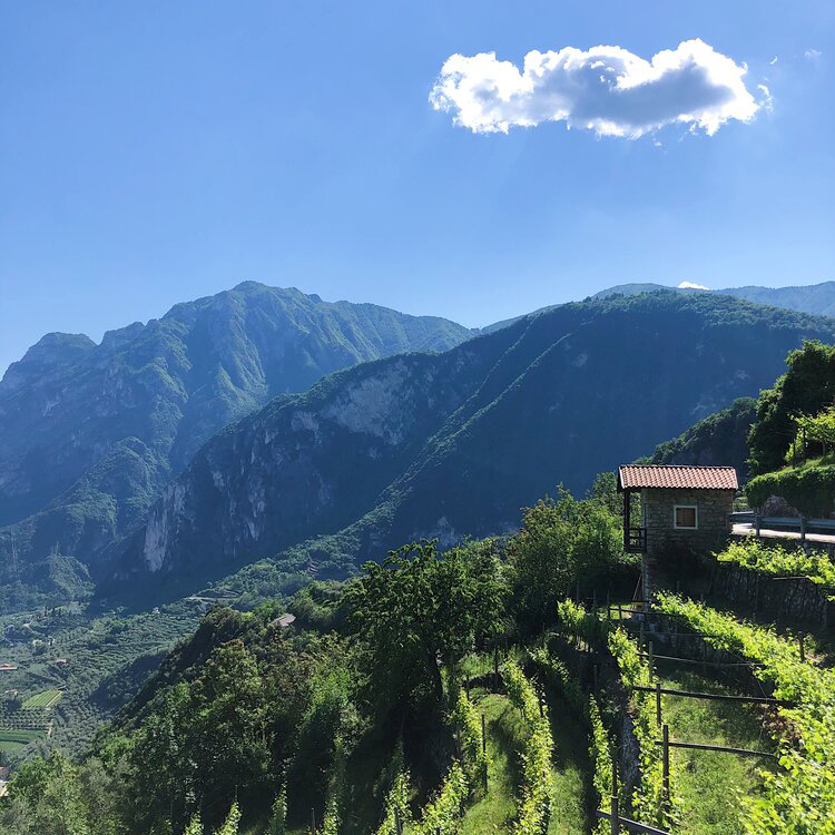 Hotel Luise - Secret places - From the Varone Waterfall, take the Gola path up to Tenno Castle.