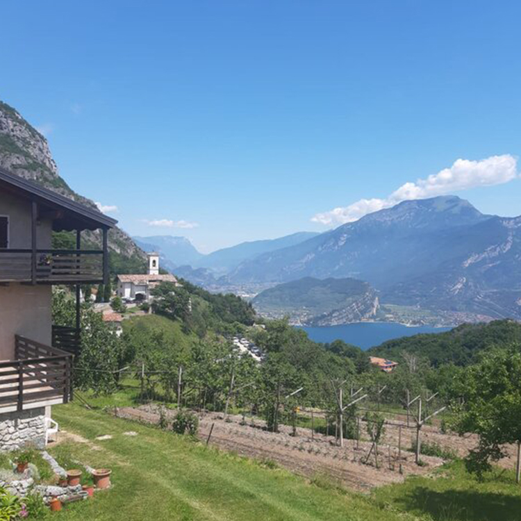 Hotel Luise - Secret places - Punta Larici: an incredible panorama, for sure one of the most wonderful of Lake Garda. The scenery is breathtaking, the view overwhelming!