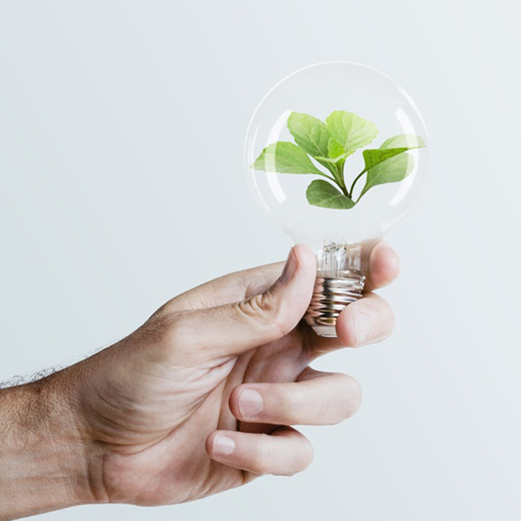Hotel Luise - Go green, fai la differenza