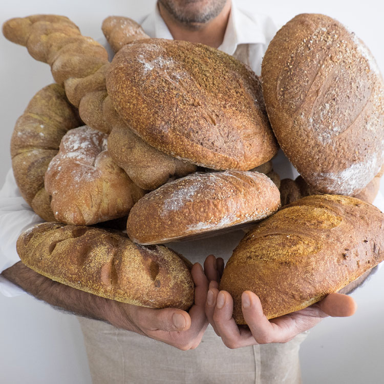 Fatto a mano al Luise: ogni giorno, a colazione, sforniamo pane fresco di pasta madre: bianco, integrale, con farina di mais, con semi di zucca, al cioccolato, alle olive... Farina italiana al 100%, meglio che a casa.
