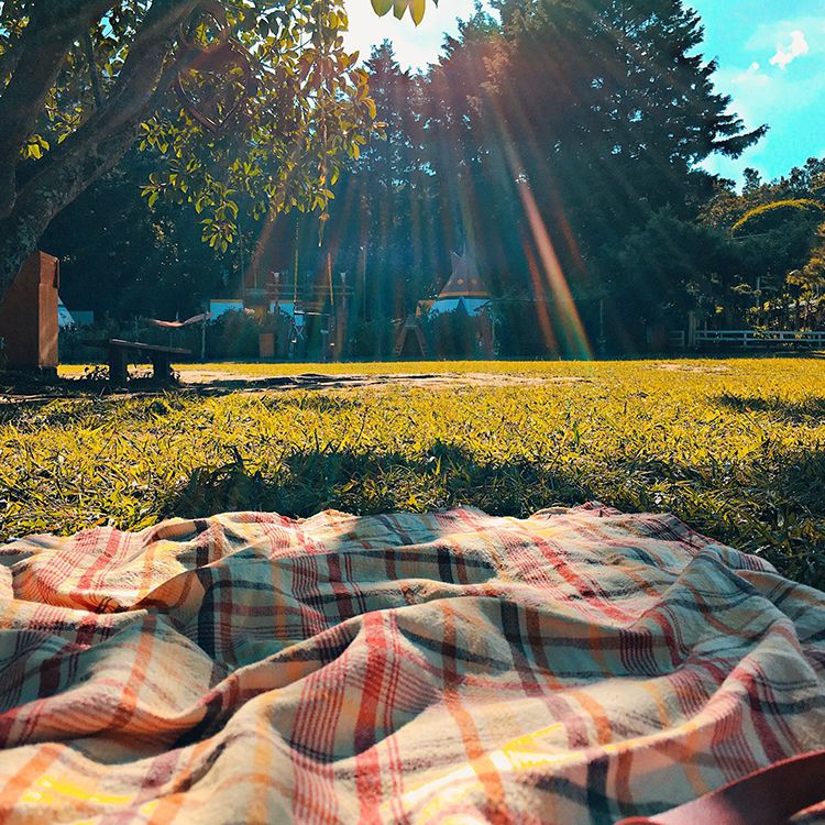 Luise pic nic: durante il giorno il tempo è perfetto per startene in giro, a piedi, in bici, in macchina, e i posti giusti te li consigliamo noi.